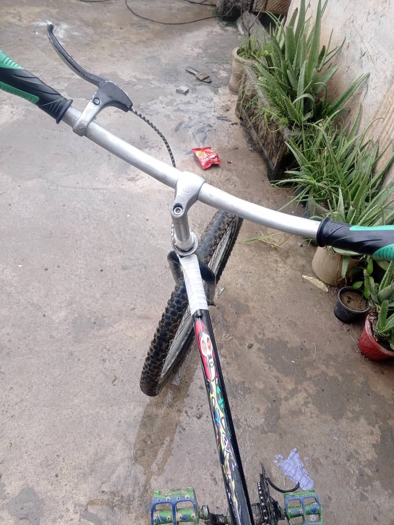 PHONIX CYCLE 0
