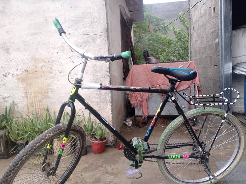 PHONIX CYCLE 13
