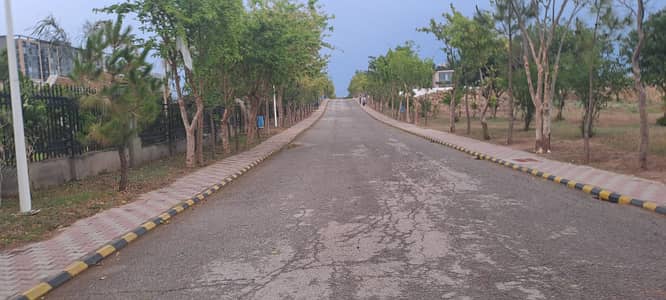 V Block 7 Marla at Top heighted location road for Sale excellent solid land location