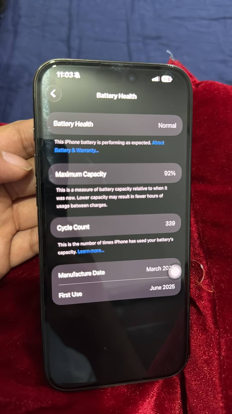 Apple iPhone 16 Pro Max 1