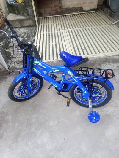 Kids Bicycle 16 Inch with Training Wheels – Excellent Condition
