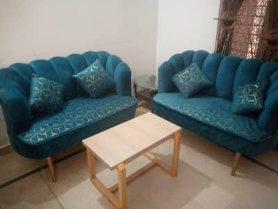 2 seaters sofa sets with table