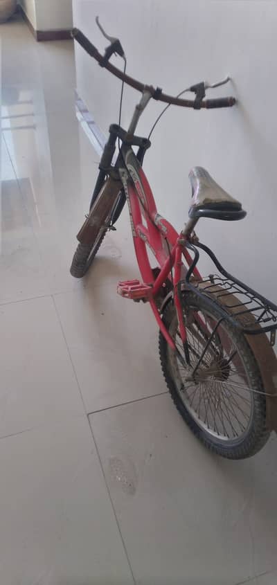 Kids cycle