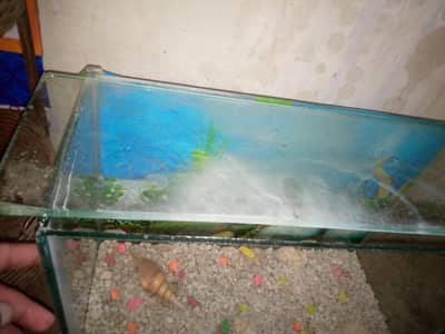 aquarium for sale