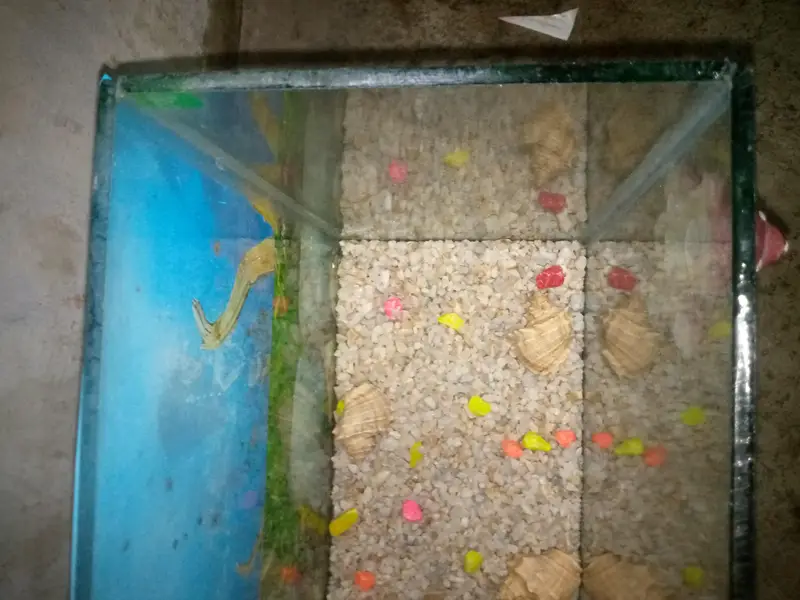 aquarium for sale — photo 2