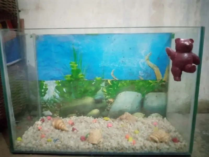 aquarium for sale — photo 3