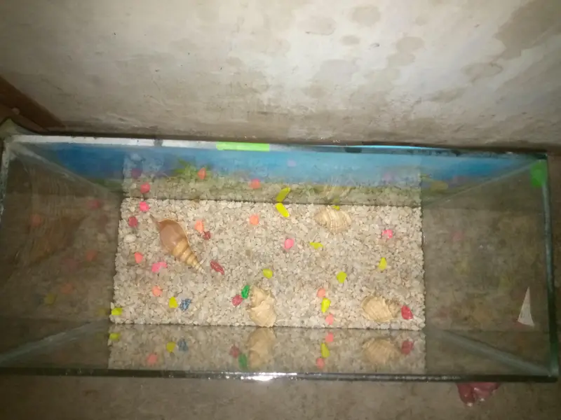 aquarium for sale — photo 4