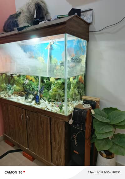aquarium