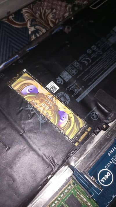 EXP SATA 512 GB M2 chip