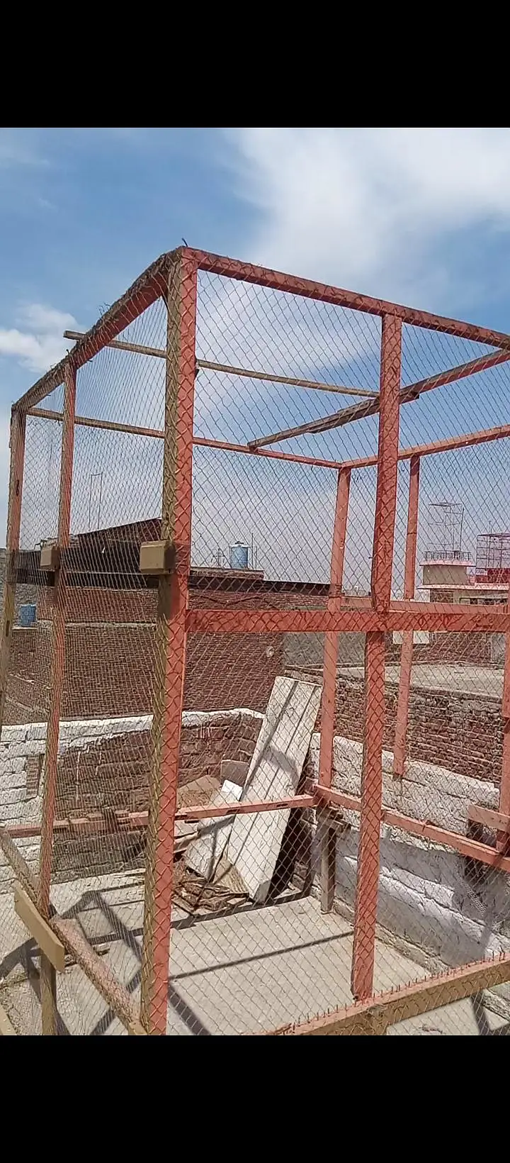 peigon cage. 8×6 — photo 2