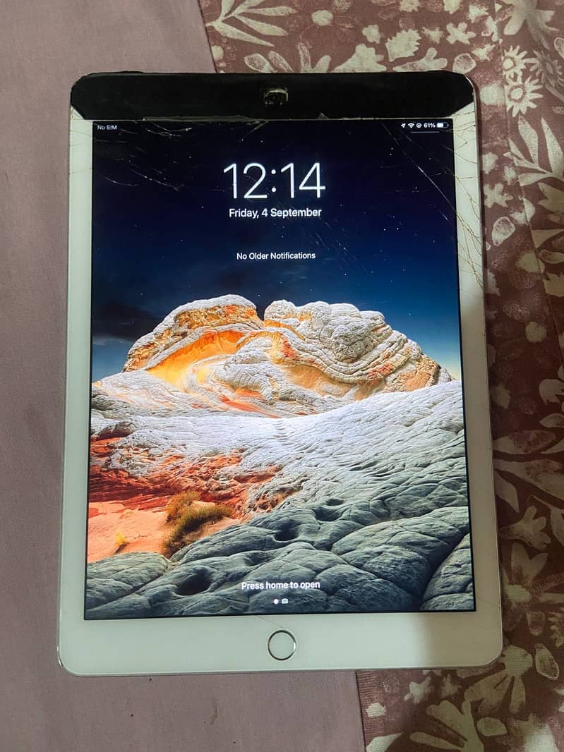 Apple iPad Air 2 4