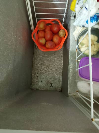 Sale Dawlance Freezer and Refrigerator