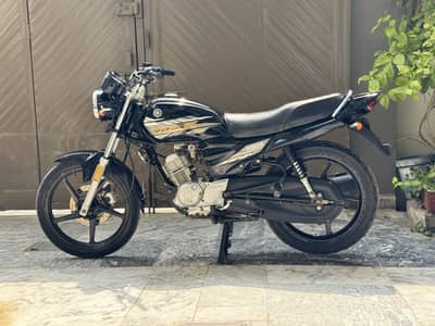 Yamaha YBZ Dx 2022