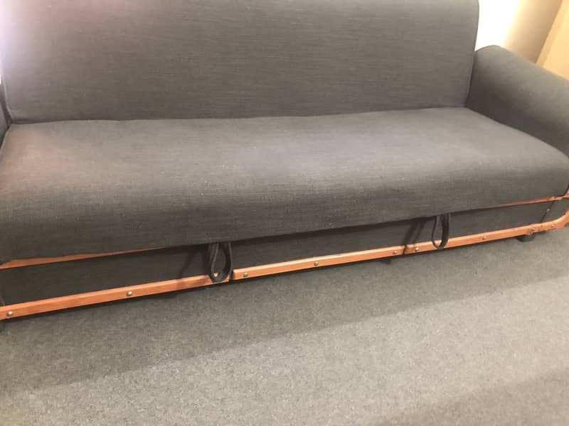 Sofa cum bed 3