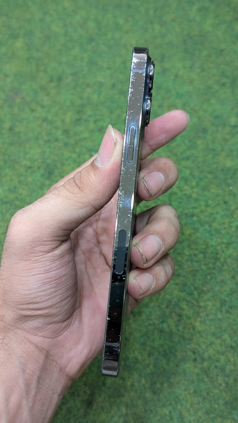 13 Pro Max 256 1