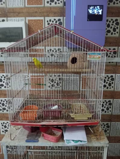 different sizes cage's for sale saf suthry h sab