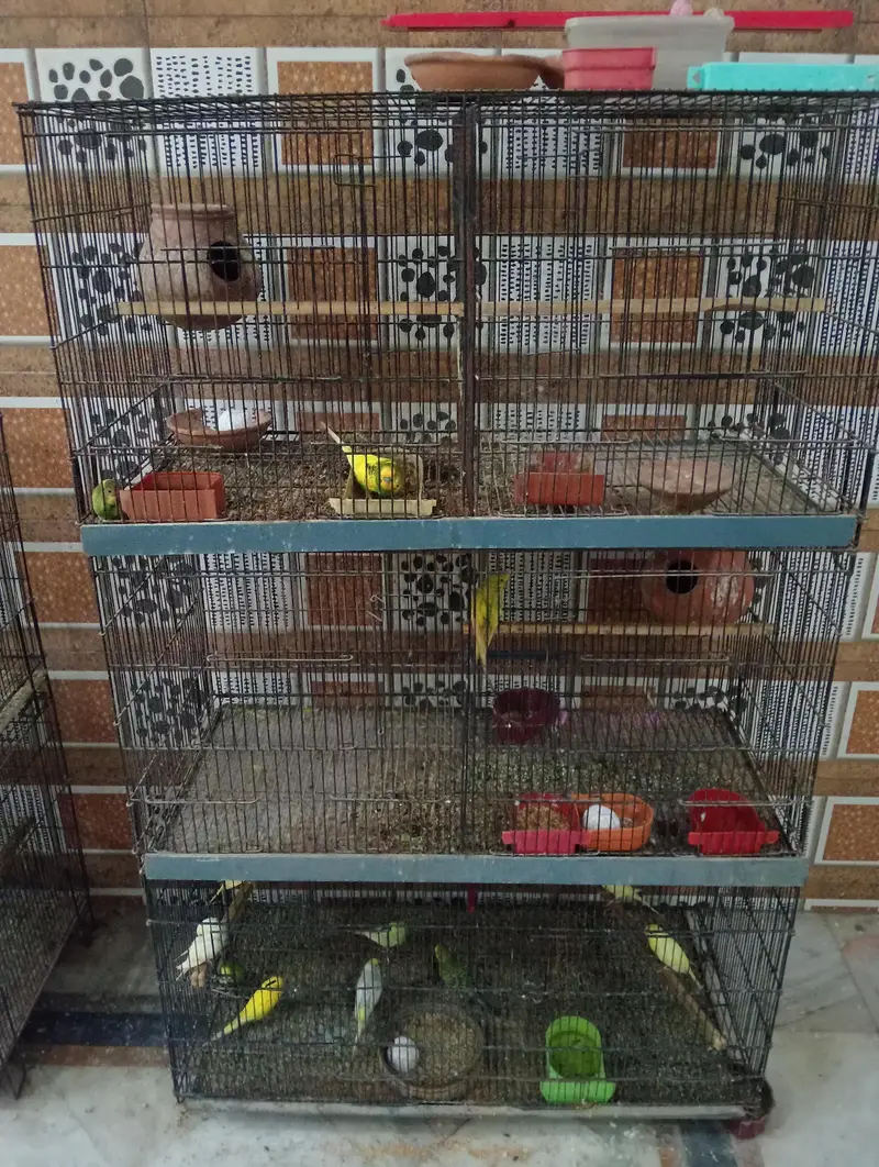 different sizes cage's for sale saf suthry h sab — photo 3