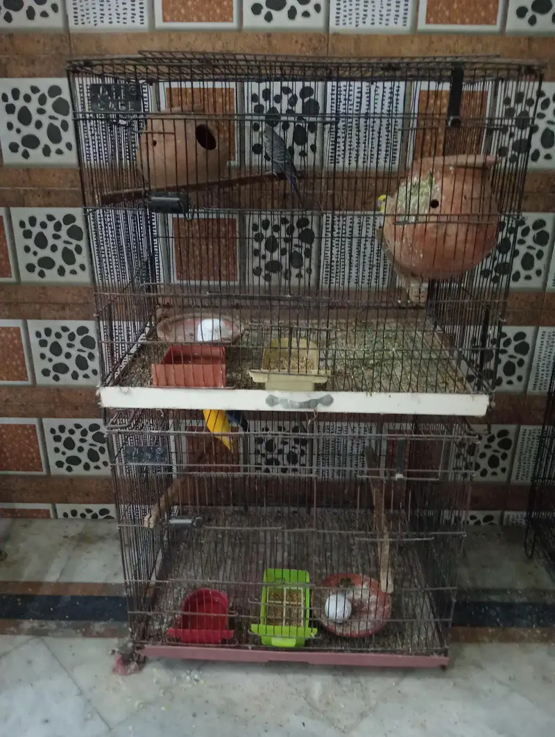 different sizes cage's for sale saf suthry h sab — photo 4