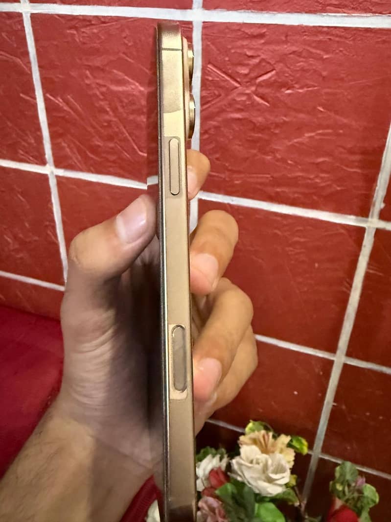 Apple iPhone 16 Pro Max 1