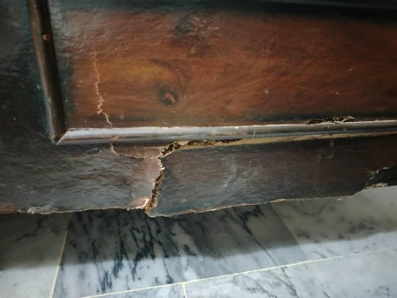 doubble bed 8