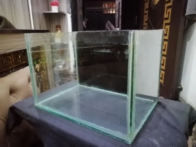 aquarium with black vinyl | fish tank — photo 2