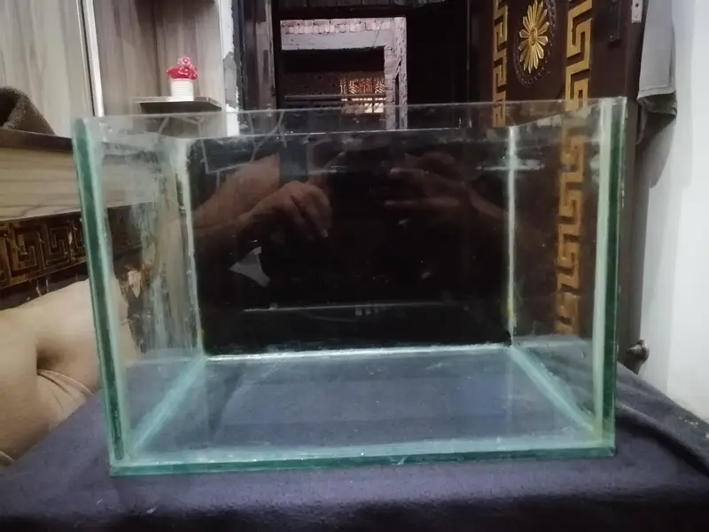 aquarium with black vinyl | fish tank — photo 3