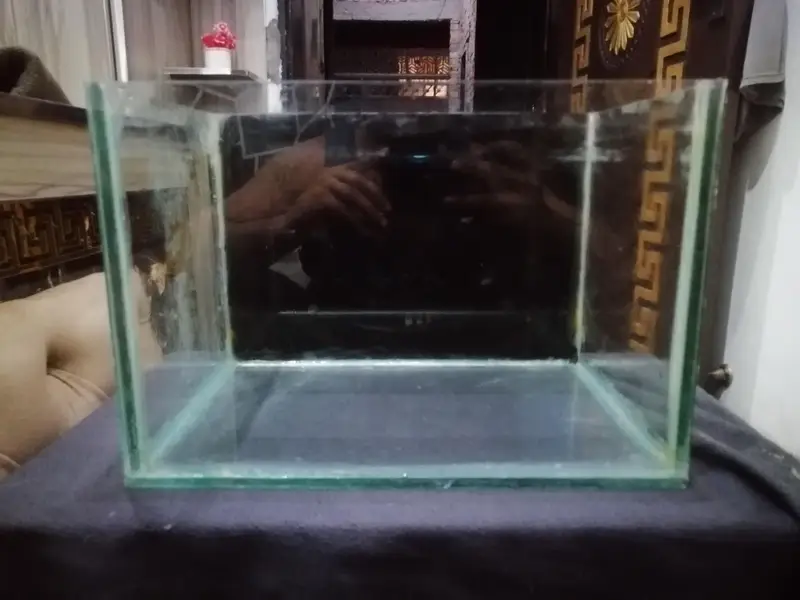 aquarium with black vinyl | fish tank — photo 5