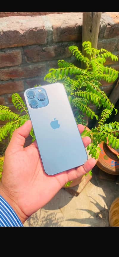 Apple iPhone 13 Pro Max