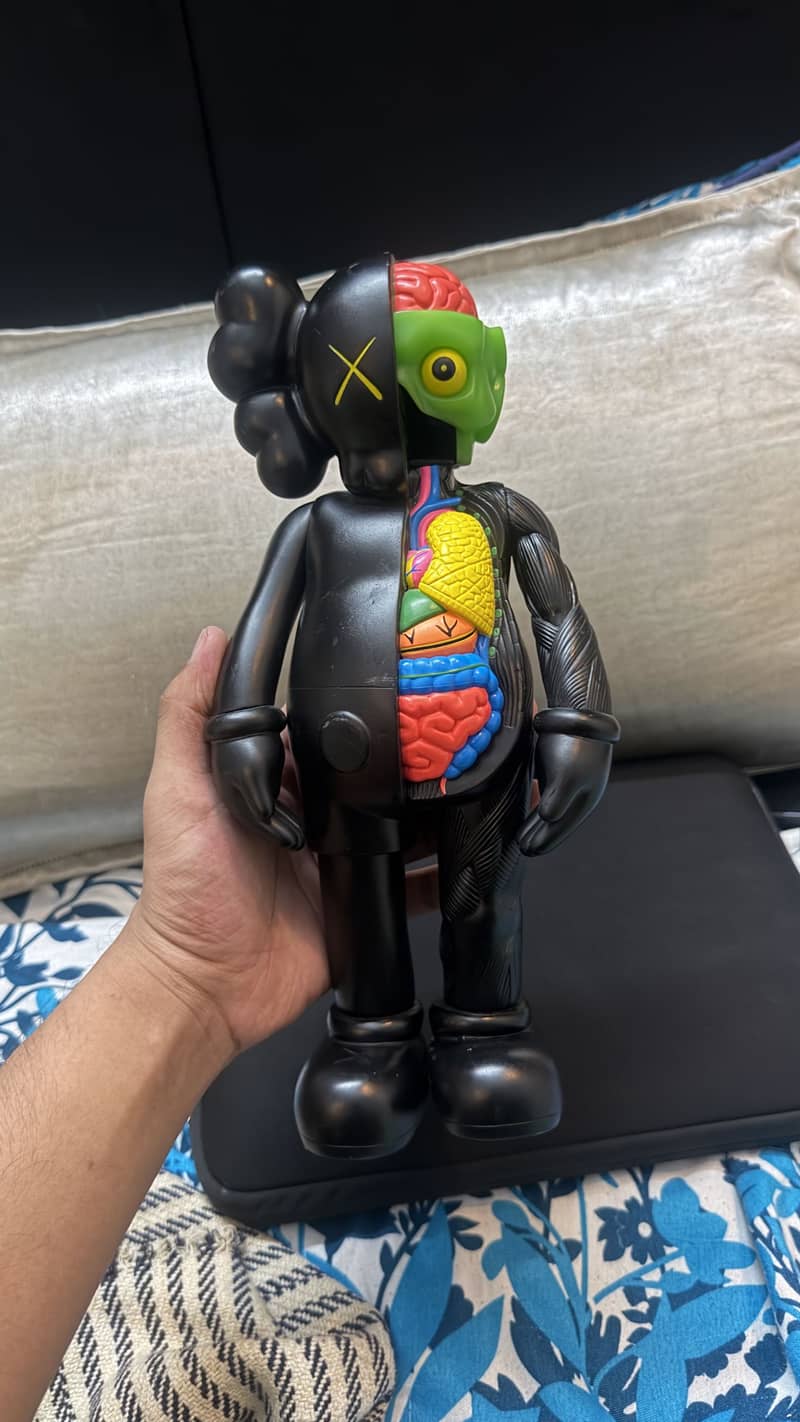 Kaws dissection 1