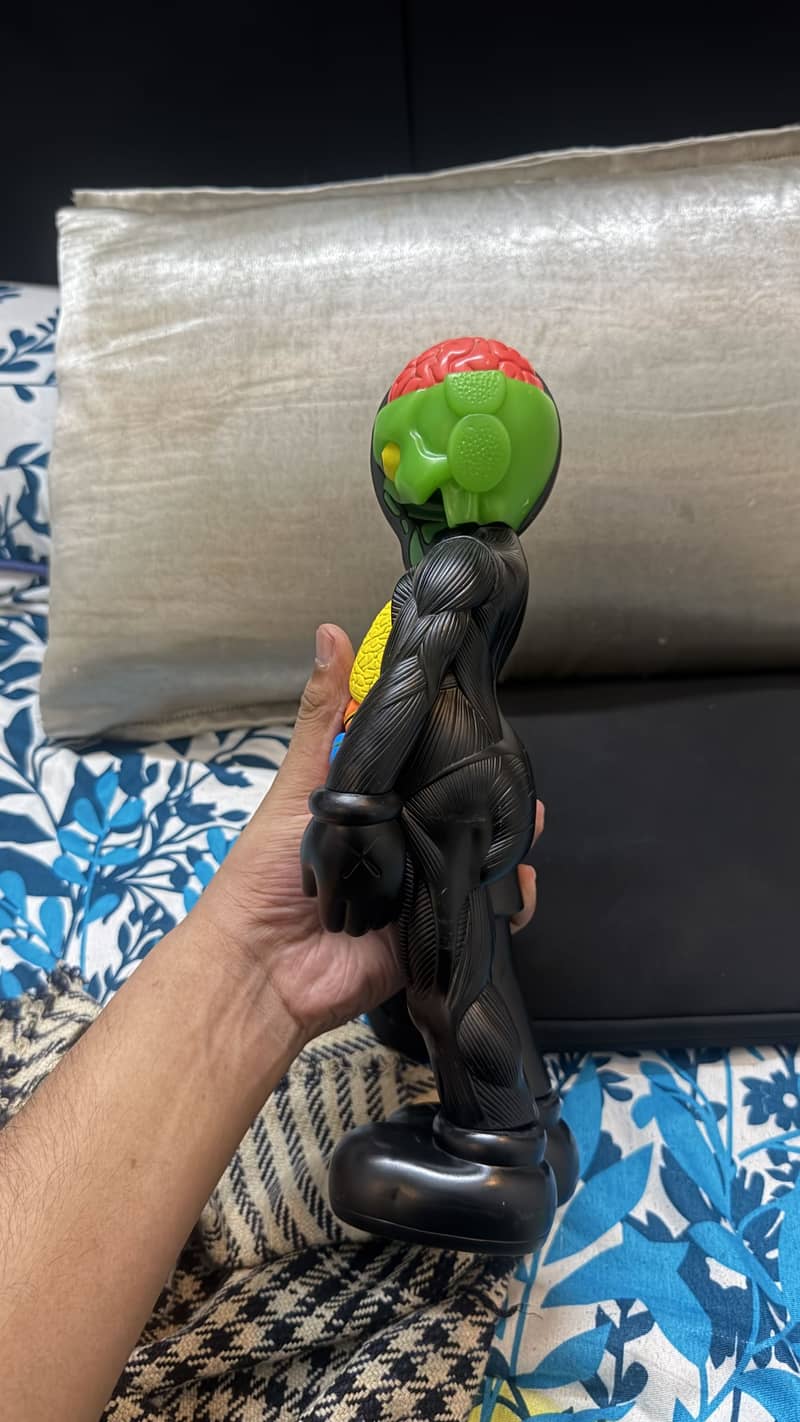 Kaws dissection 2