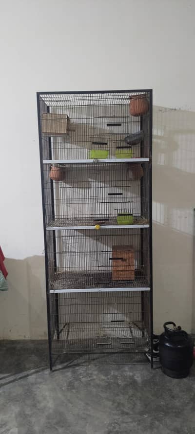 parrots cage