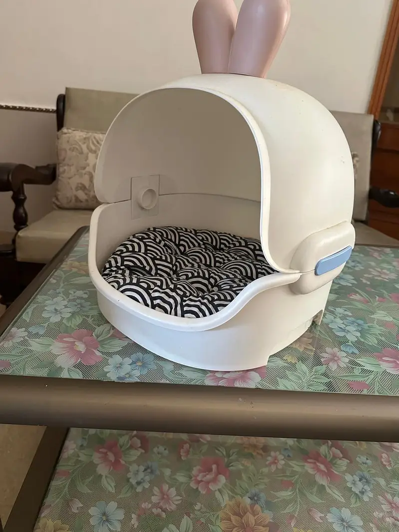 Siberian Cat for Sell — photo 2