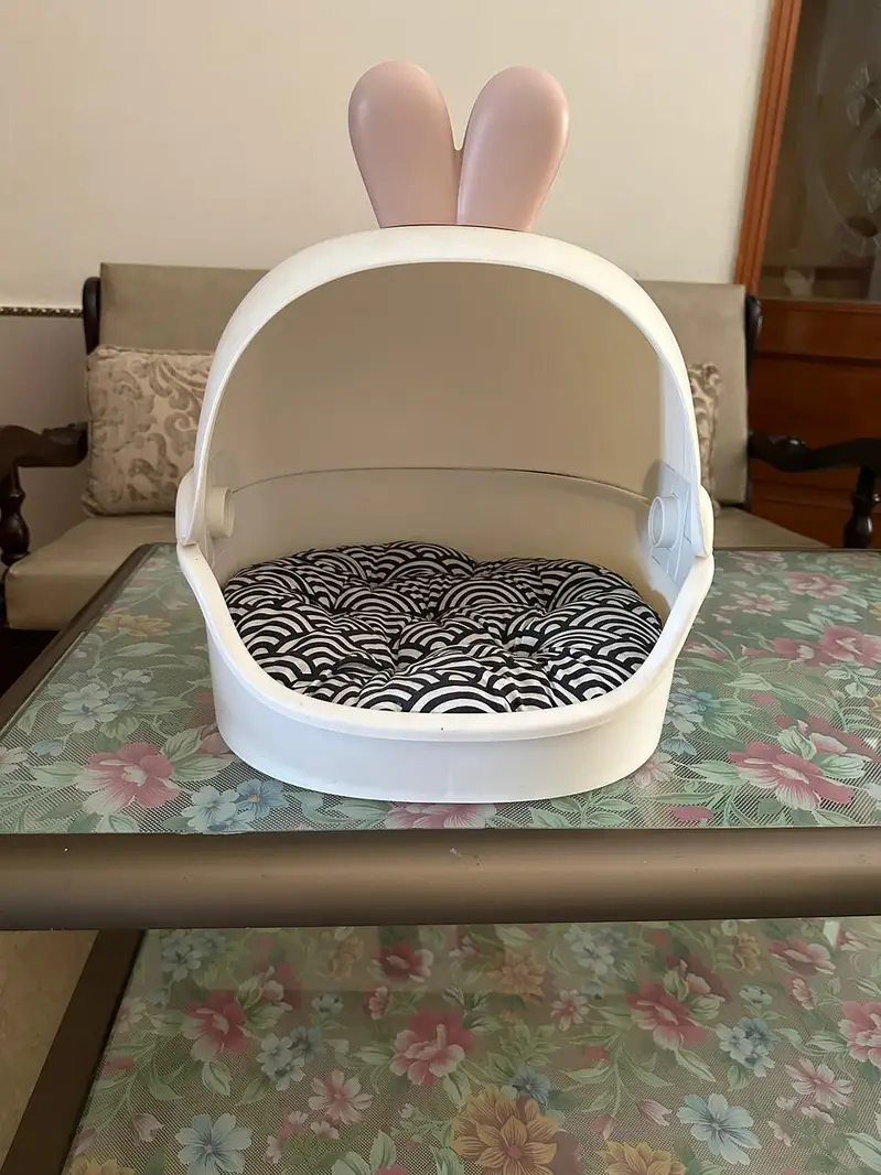Siberian Cat for Sell — photo 8