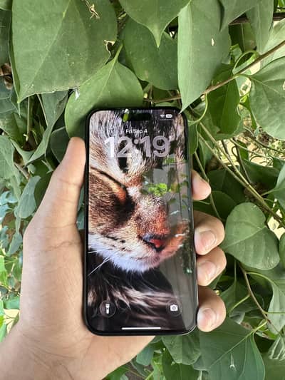 Apple iPhone 15 Pro jv