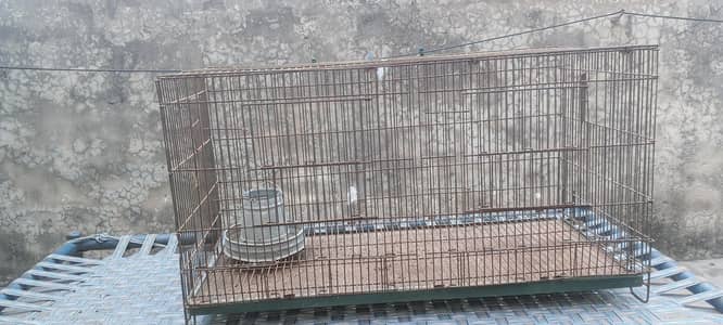 pinjara for hens and parrots