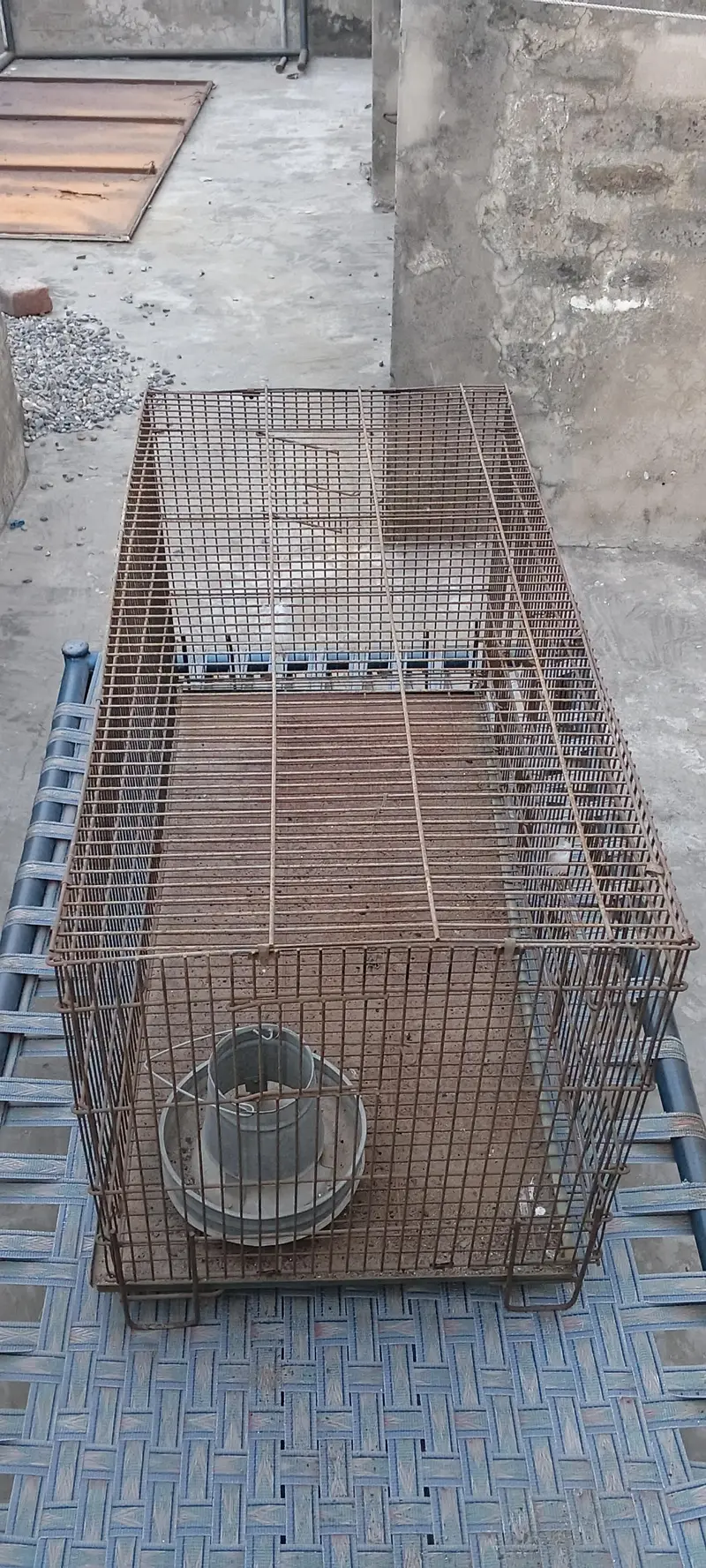 pinjara for hens and parrots — photo 3