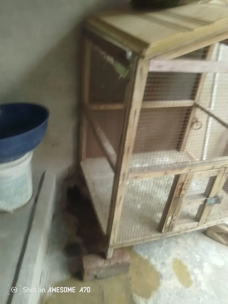 wooden cage — photo 2