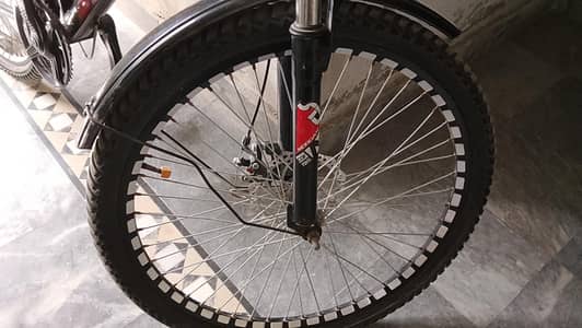 Morgan 24 inch