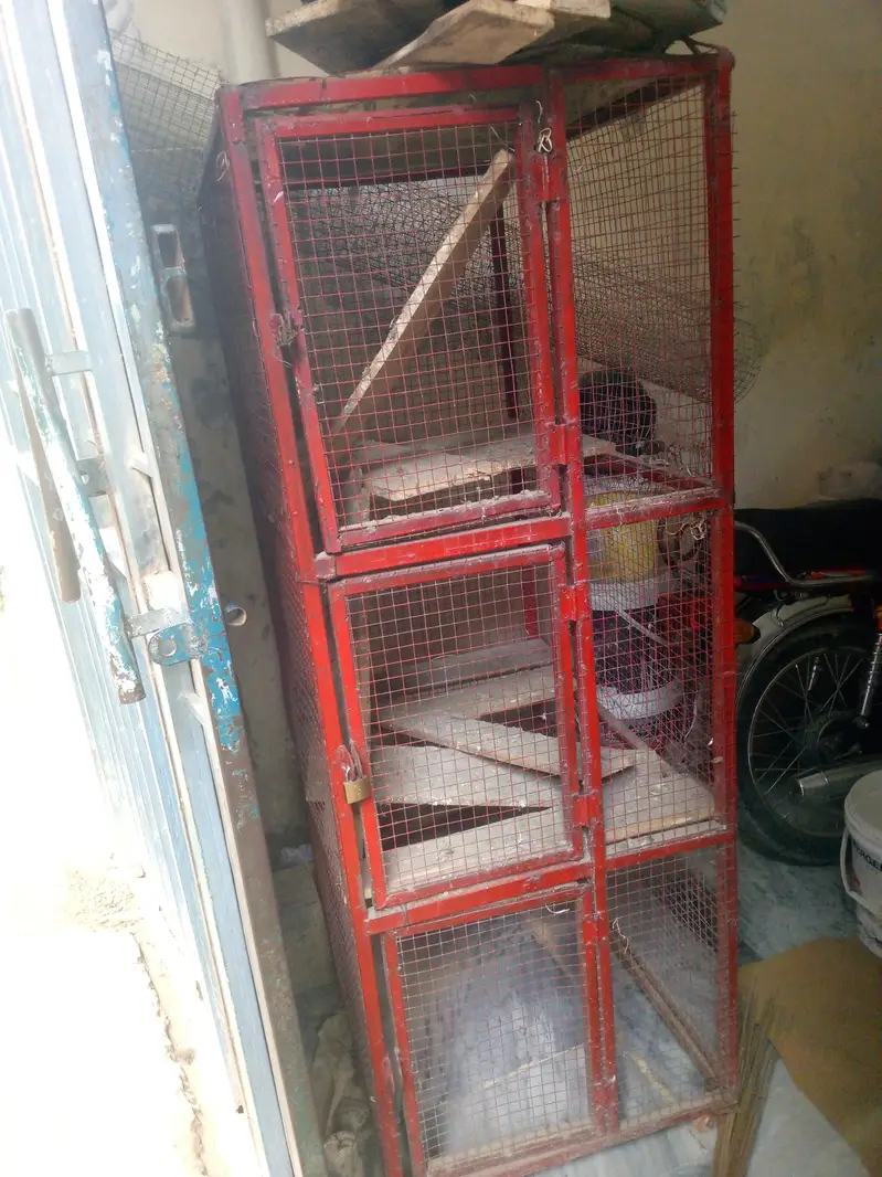 new cundishon ma h 10 by 10 hn ok hn — photo 2