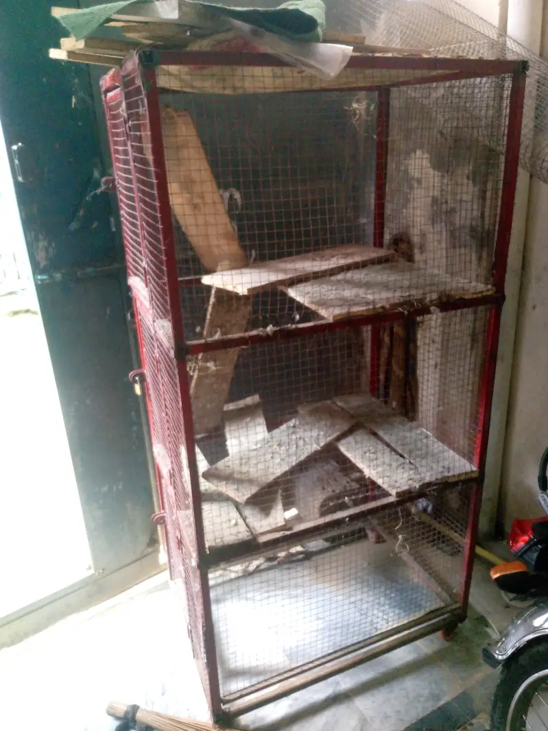 new cundishon ma h 10 by 10 hn ok hn — photo 3