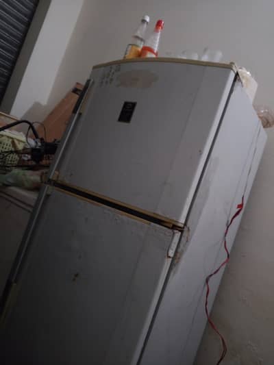 full size fridge for sale