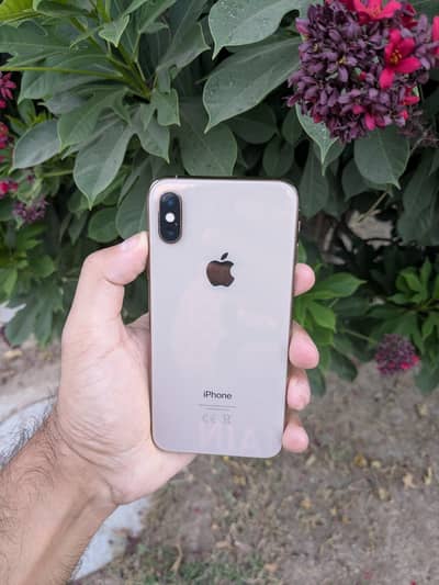 Apple iPhone XS  256gb  waterpack