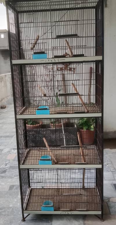 Bird Cage Noorabad