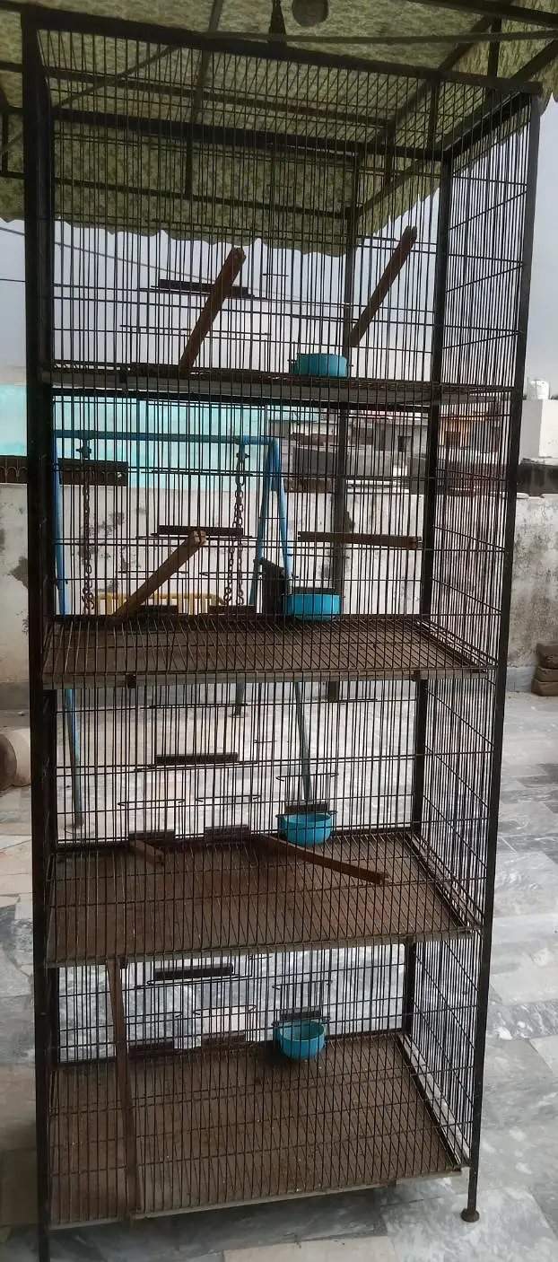 Bird Cage Noorabad — photo 2