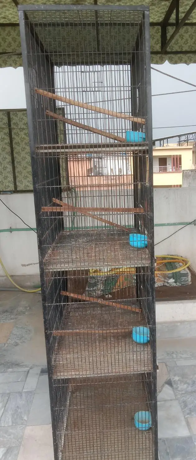 Bird Cage Noorabad — photo 3