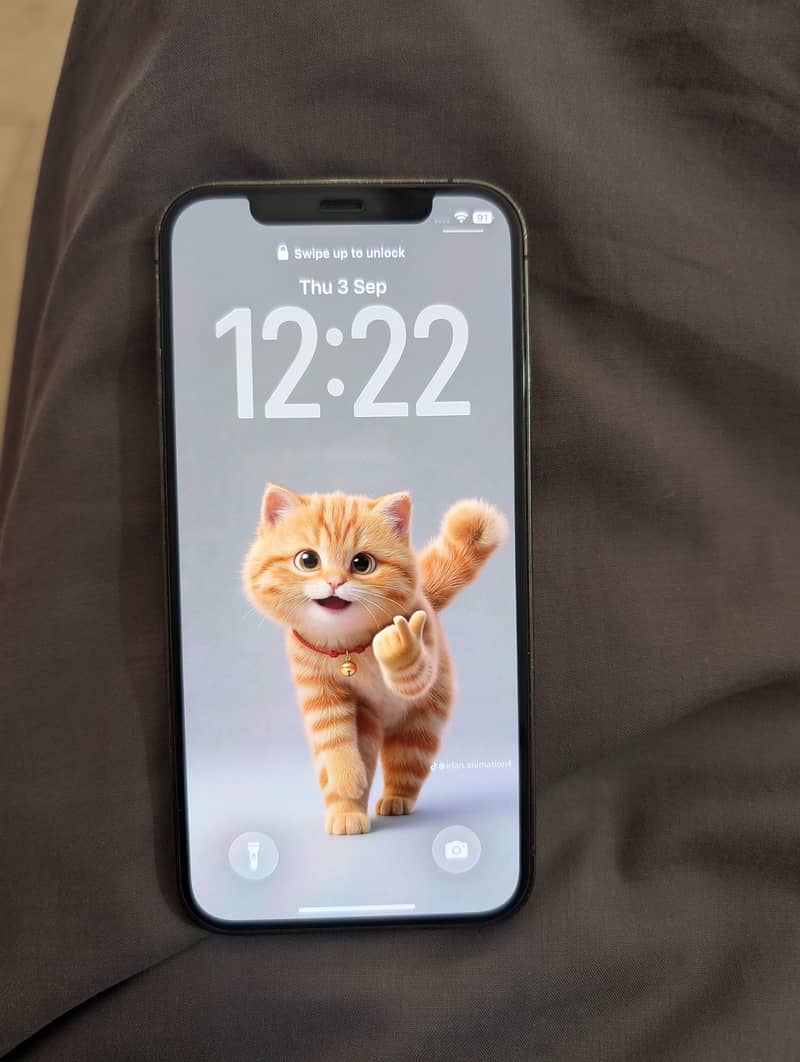 Apple iPhone 12 Pro 4