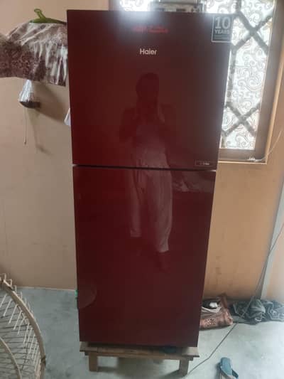 haiar medium size