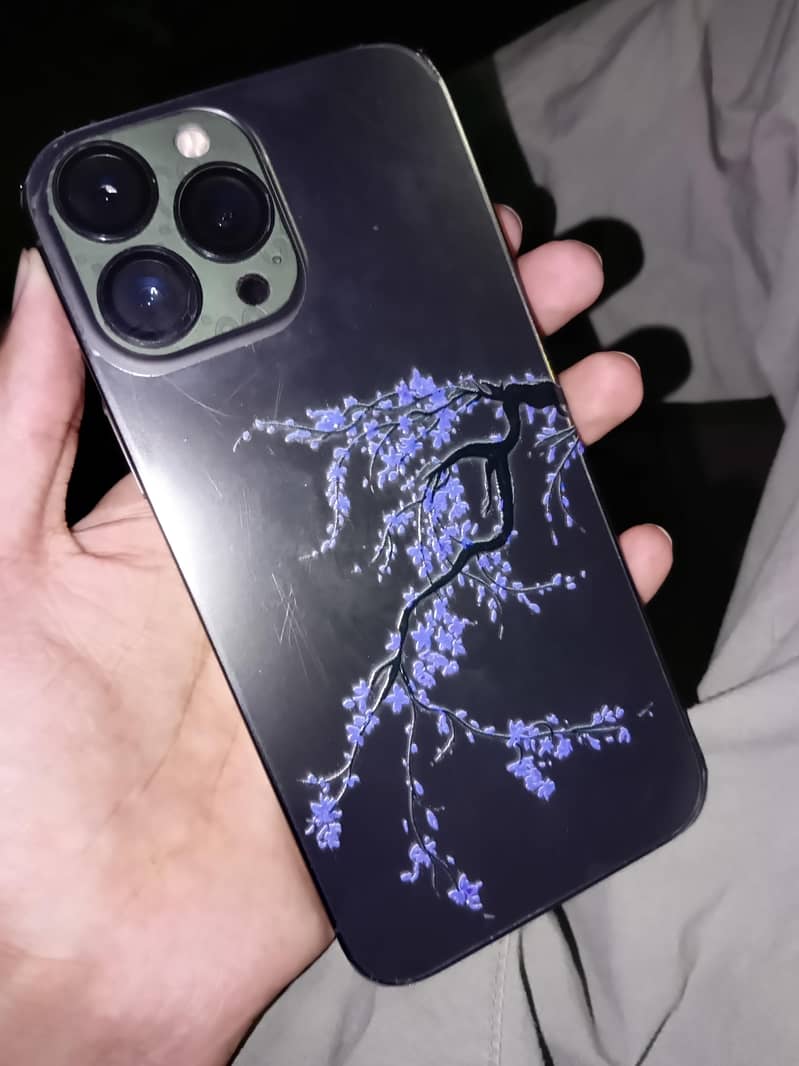 Apple iPhone 13 Pro Max 1
