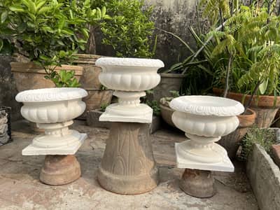 European planters