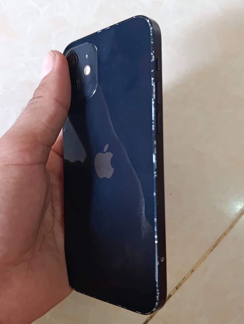 Apple iPhone 12 1